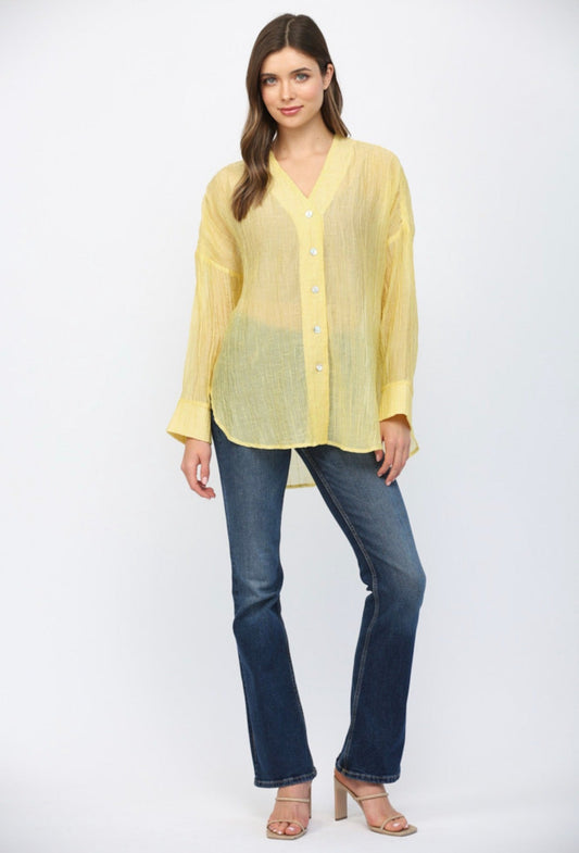 ARUELIA BUTTON DOWN - Gopher Lane Boutique & Gifts