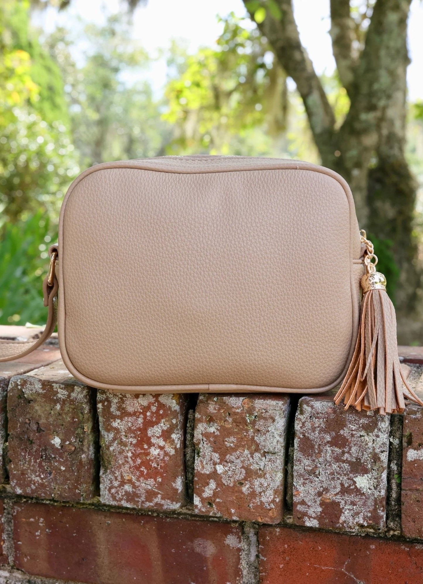 RYLIE CROSSBODY WITH TASSEL - TAUPE - Gopher Lane Boutique & Gifts
