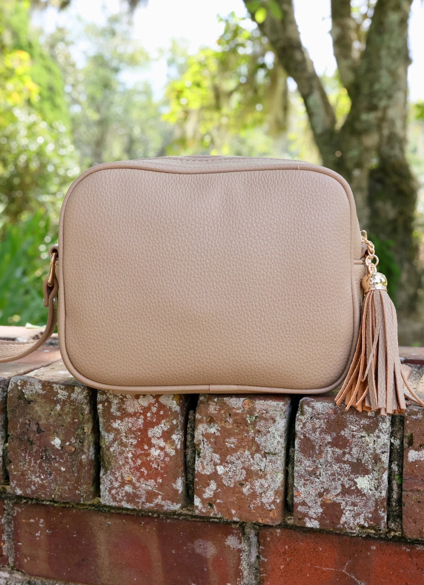 RYLIE CROSSBODY WITH TASSEL - TAUPE - Gopher Lane Boutique & Gifts